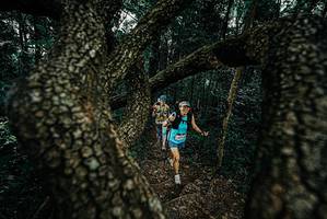 BIB: 
                            <button type="button" onclick="openModal(25685832)" class="btn btn-primary btn-sm float-right btn-popup" data-toggle="modal" data-target=".modal-high-quality">
                        <i class="fas fa-shopping-cart"></i> Add to Cart
                    </button>
                                            <button type="button" onclick="isThisMe(25685832, true)" class="btn btn-success btn-sm float-right btn-popup btn-isme hidden" data-toggle="tooltip" data-placement="bottom" title="นี่คือรูปของคุณใช่ไหม คลิกที่นี่เพื่อเอาเข้าอัลบั้ม">
                        <i class="fas fa-plus"></i> Add to album
                    </button>
                    <button type="button" onclick="isThisMe(25685832, false)" class="btn btn-warning btn-sm float-right btn-popup btn-isnotme hidden">
                        <i class="fas fa-ban"></i> Remove from album
                    </button>